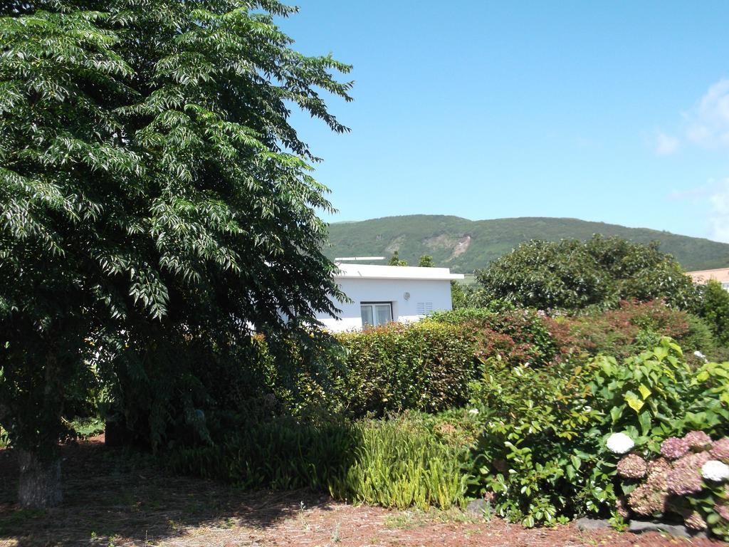Maison d'hôtes Quinta Da Abegoaria Extérieur photo